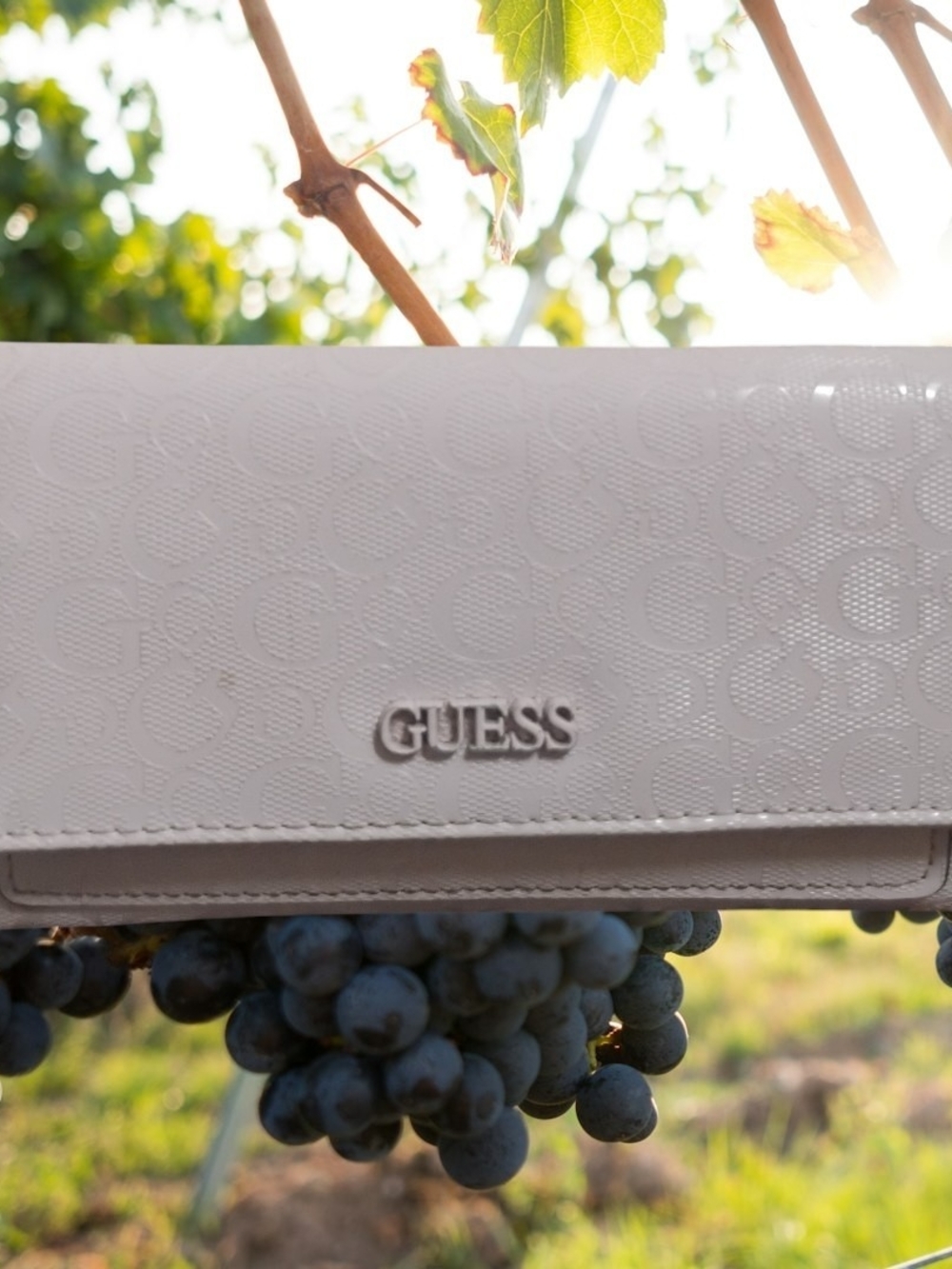 GUESS White Cream Wallet